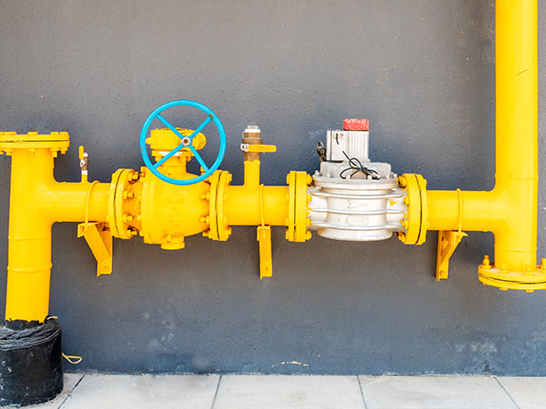 bevictorΰ�¹���-Τ�¹ٷ���վ